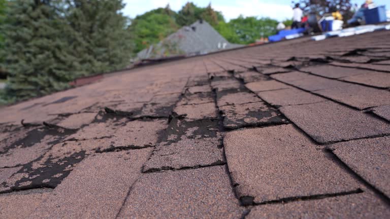 4 Ply Roofing in Clarence Center, NY